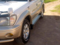 tz-prado-small-1