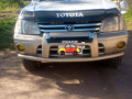tz-prado-small-0