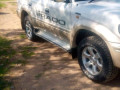 tz-prado-small-2