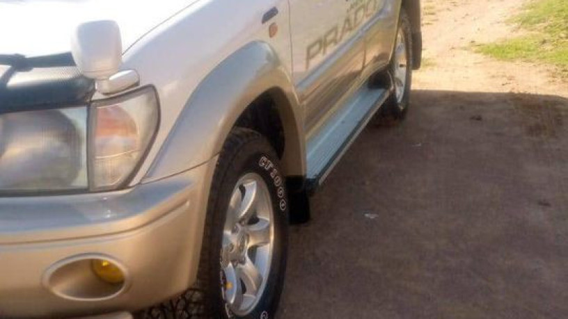 tz-prado-big-1