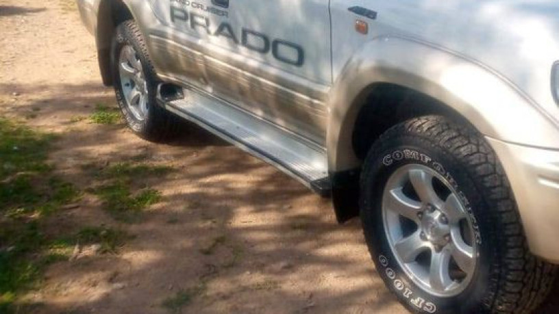 tz-prado-big-2
