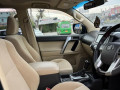 prado-tx-2015-small-3