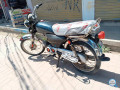metro-2010-model-panjab-number-small-0