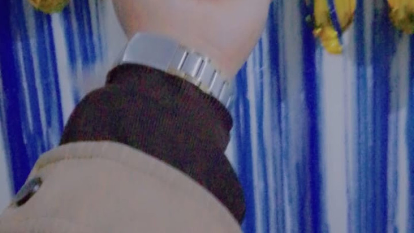 white-persian-double-coated-big-4