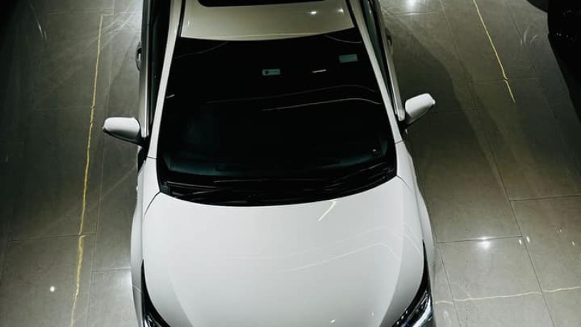 toyota-grande-2022-big-5